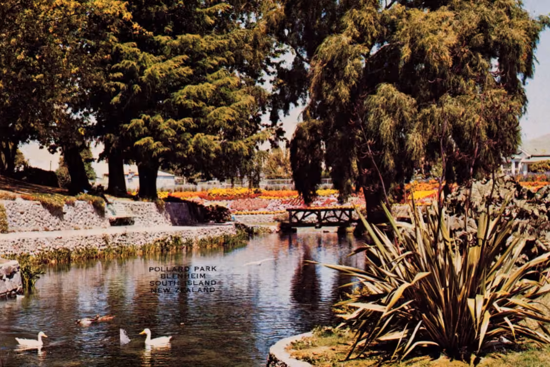 Colour postcard showing Pollard Park in Blenheim in the 1970s.